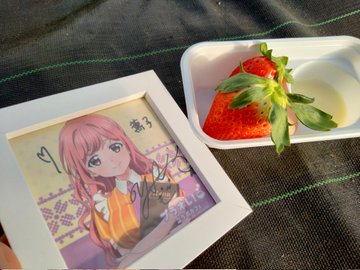 日光ストロベリーパーク いちご狩り 22期間はいつまで 予約方法は アクセスや駐車場情報も 最近気になること