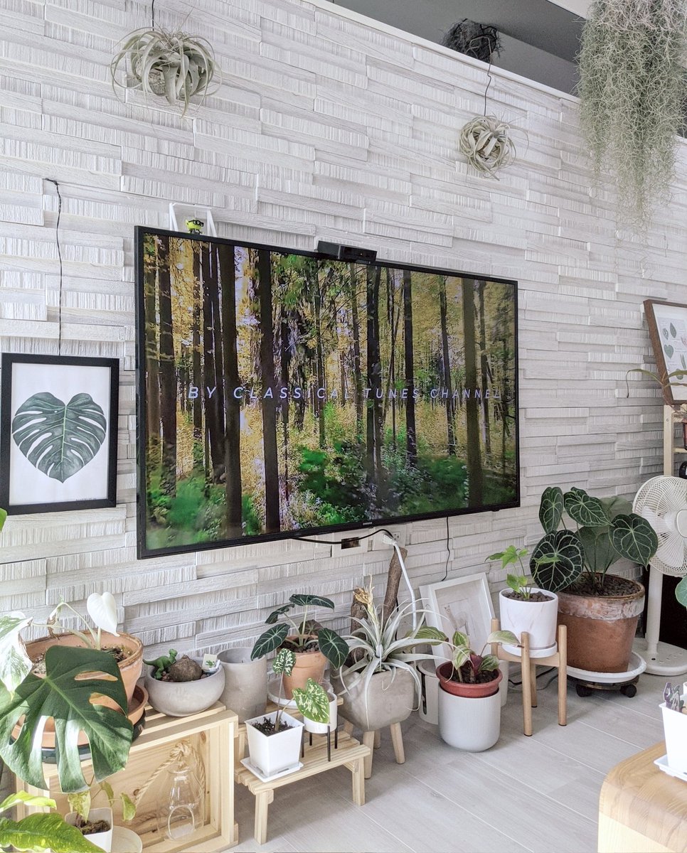 🍂文森老爺🌿🍃 tweet media