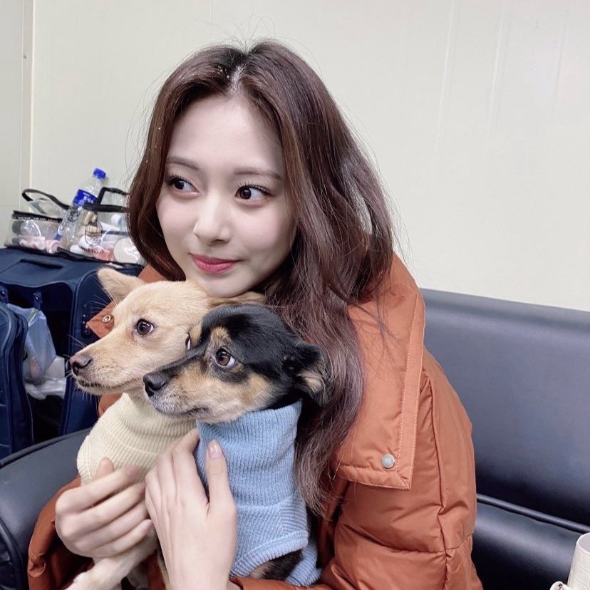 peekmomo's tweet photo. 🐶 | adopta perros con tzuyu
- @tzuyubrand

트와이스 쯔위 #트와이스쯔위 #TZUYU #쯔위 #트와이스 @JYPETWICE https://t.co/puaIfgzmaG