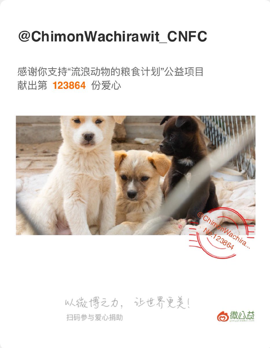 chimon_cnfc's tweet photo. #HappyChimonDay2022
Project 3

You're a kind person who love animals. So we joined "Weibo Public Welfare Project ——Provide Food For Stray Animals " to show our love and care to these  stray animals.❤

#ชิม่อนไงจะใครหล่ะ 
#ChimonWachirawit https://t.co/6IDd4w7C96