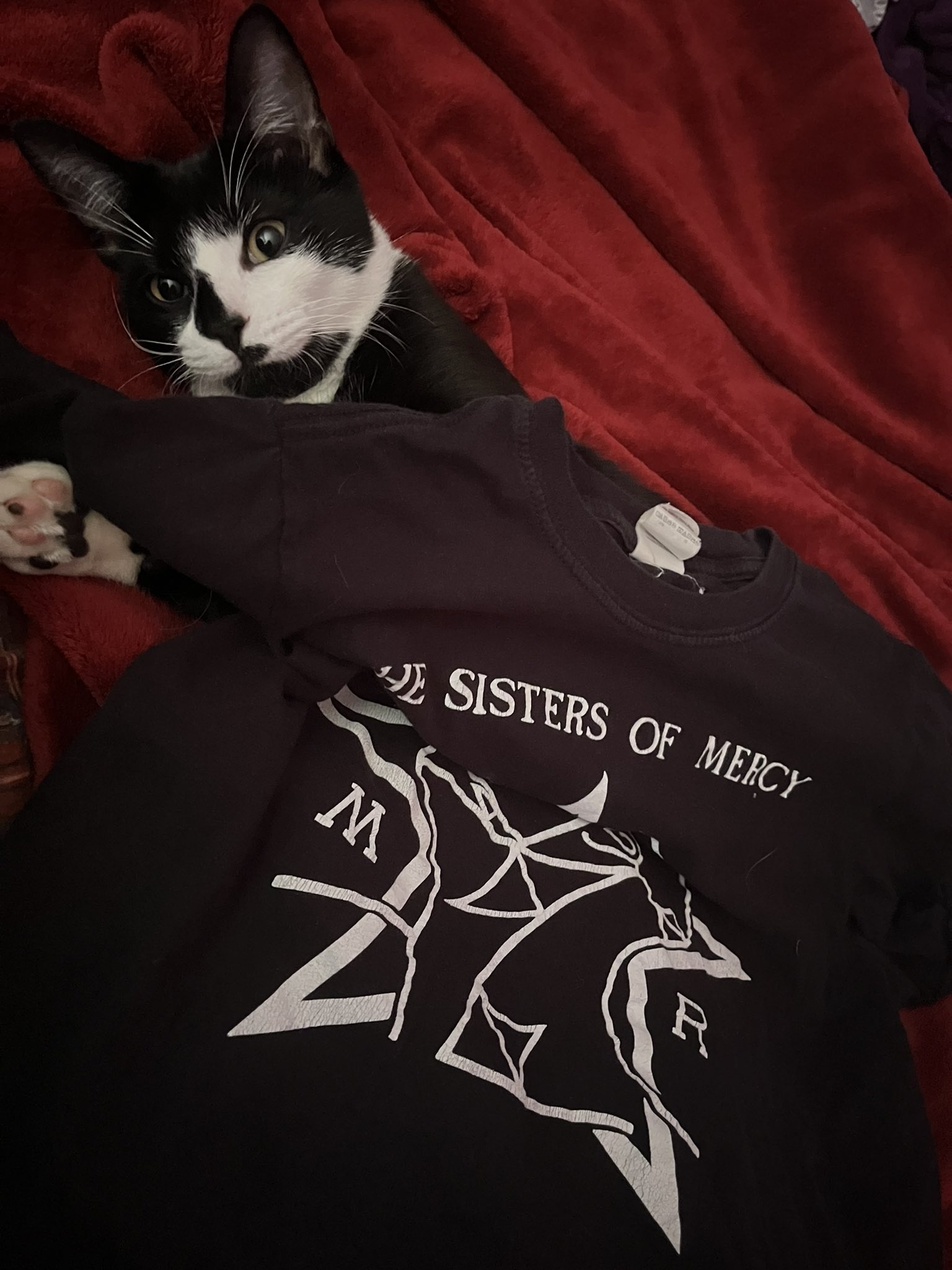 Misfit says happy birthday Patricia Morrison 