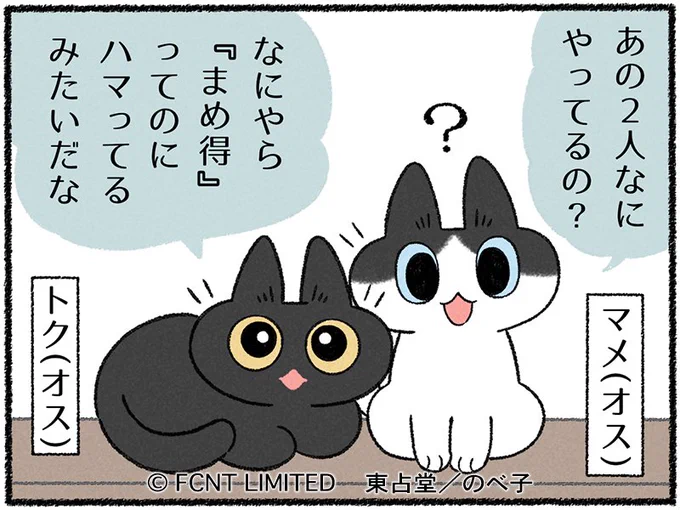 (=^x^o[お知らせ]o
マメとトクのひだまり日記が本日より掲載開始されました!ほのぼのお役立ち漫画となってます。よろしくお願いします🐈‍⬛🐈‍⬛
https://t.co/NVh4Nak29D 