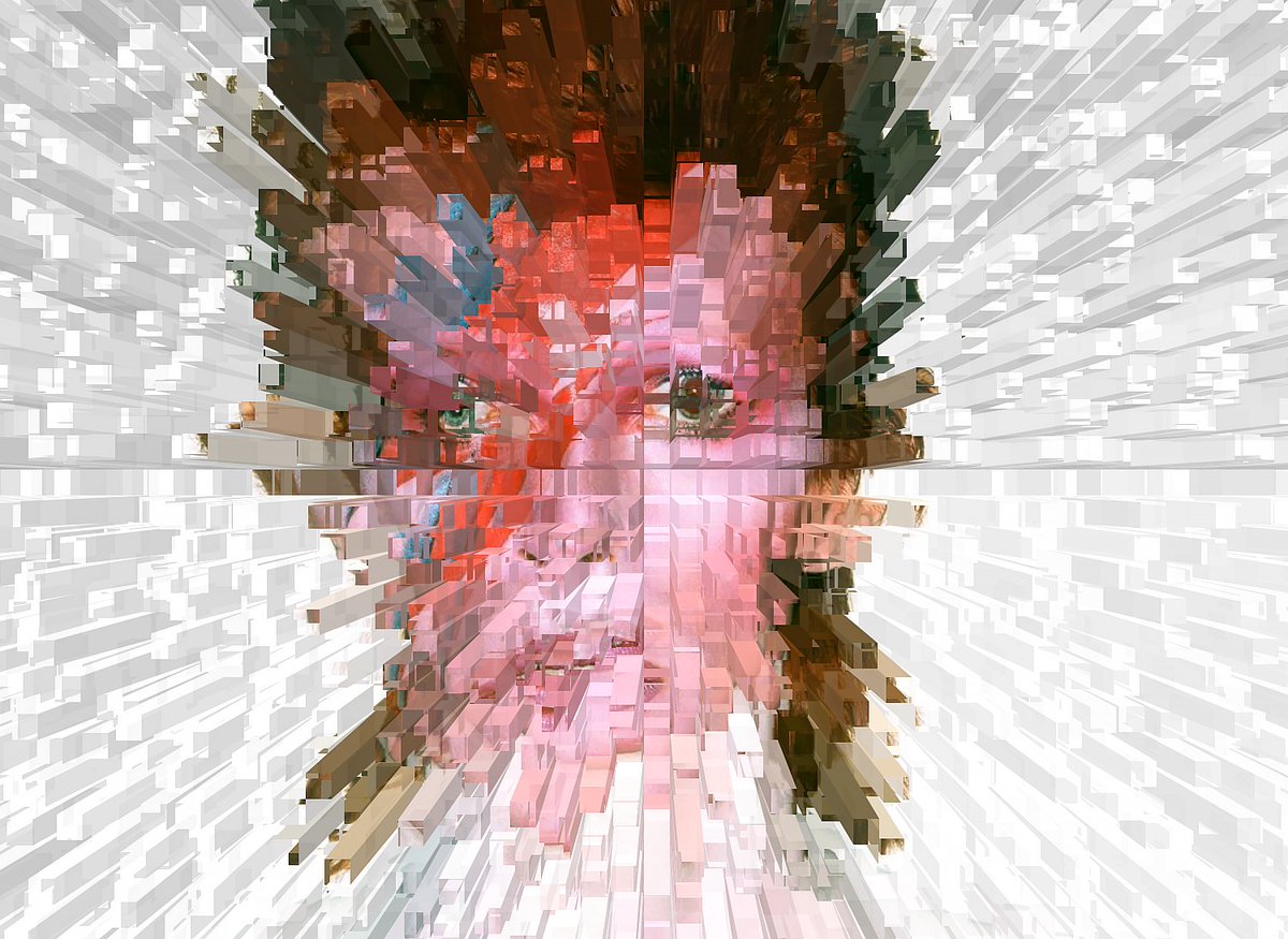 Bobtography tweet media