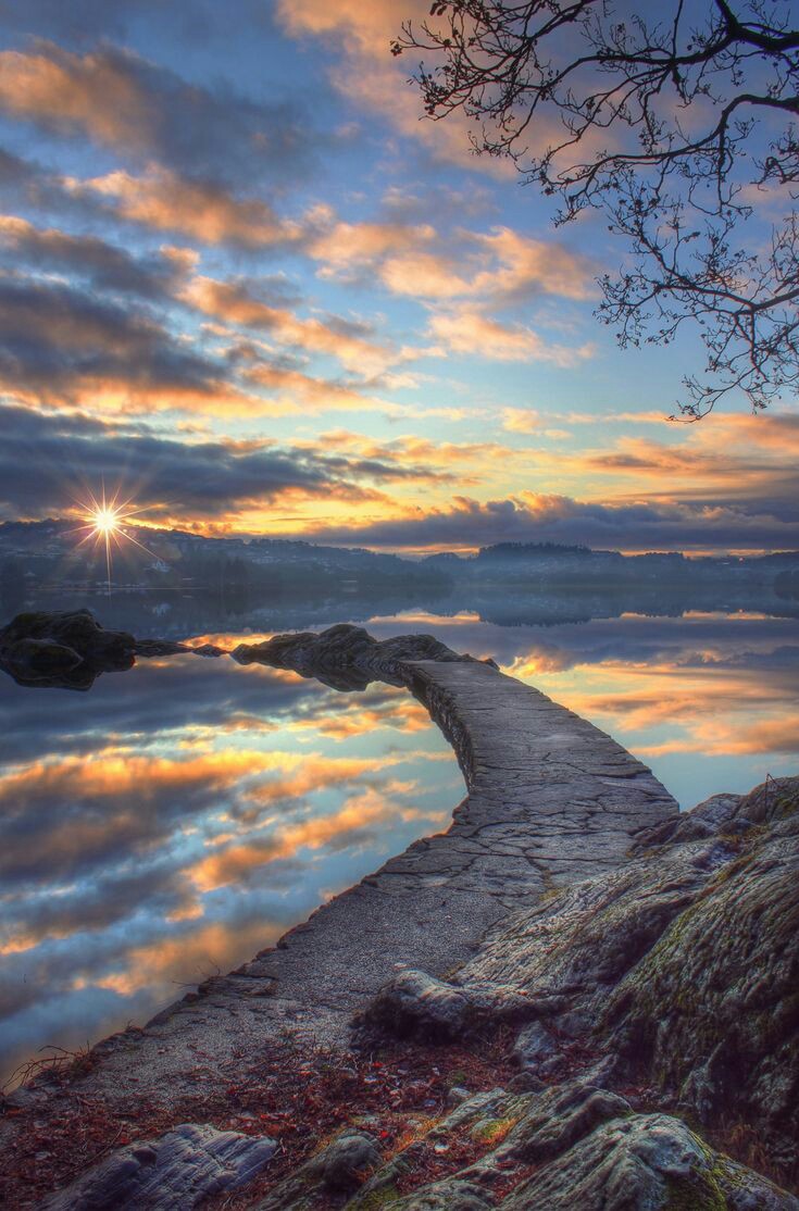 Soul_Art8's tweet photo. Good morning 💛🌄
#NaturePhotography #naturelovers  #morning #sunrise https://t.co/YQBS5WFvYb