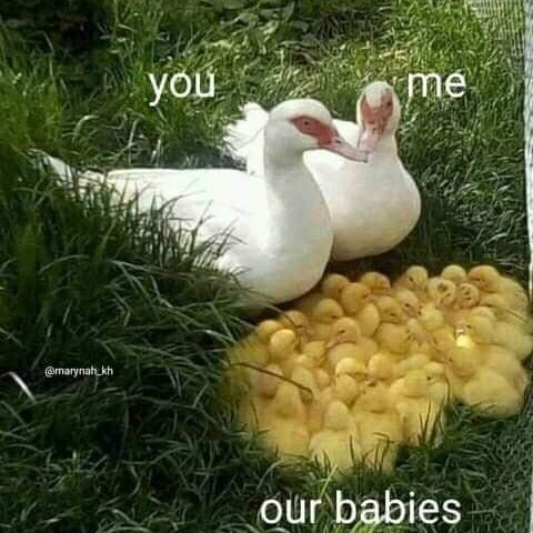 mr.ahmed tweet media