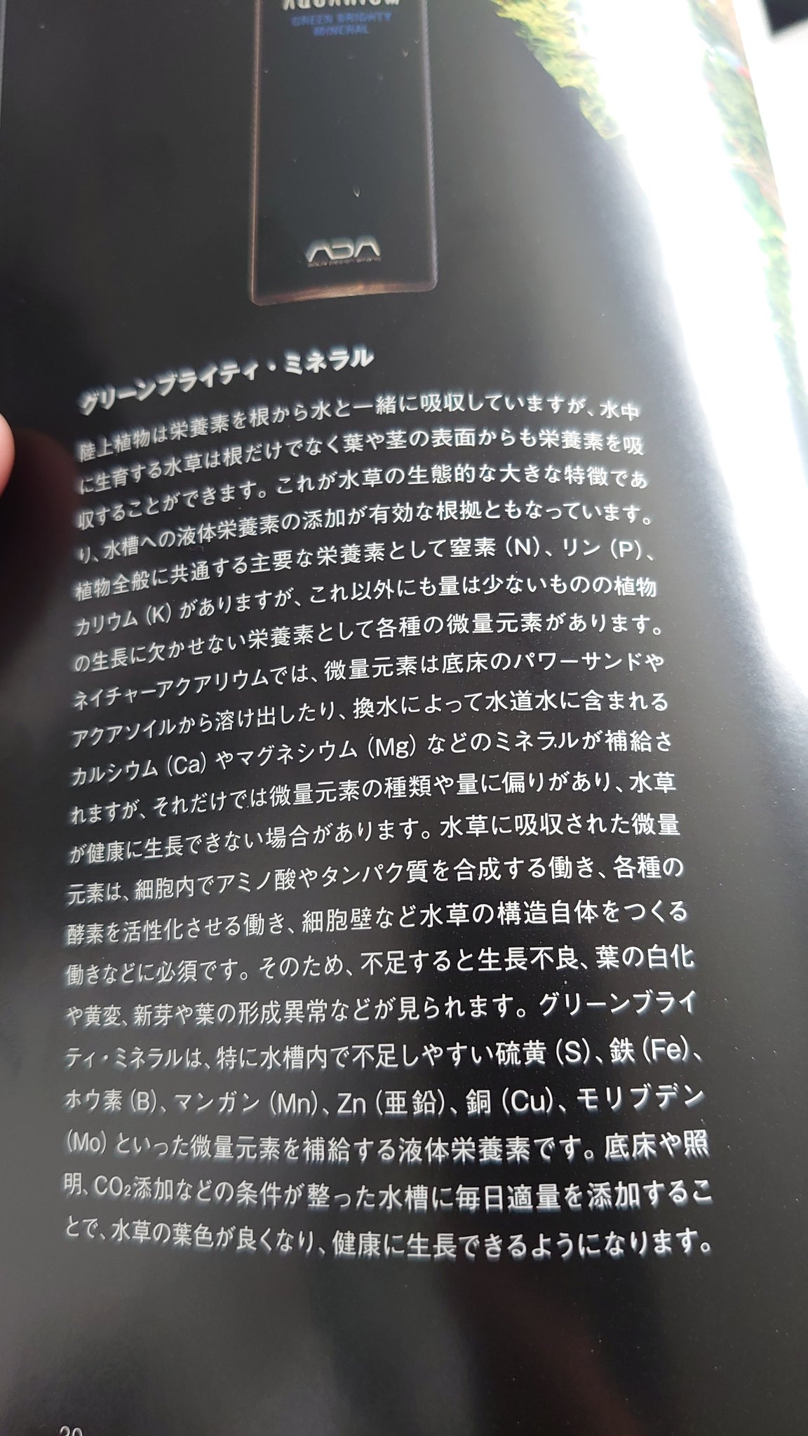 Try Tryqoiejp Twitter