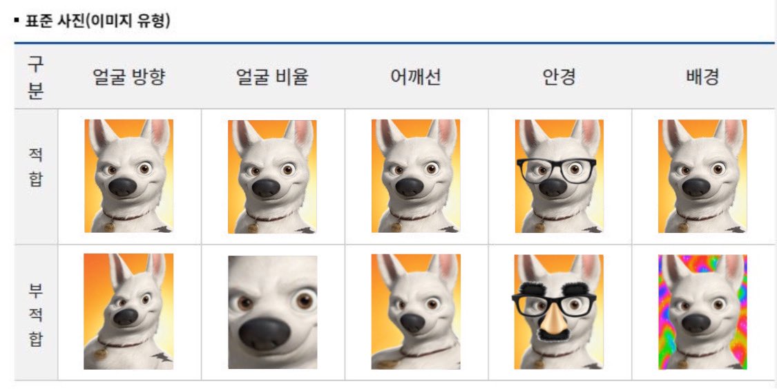 에릭증명사진적합부적합 (bolt ver.)