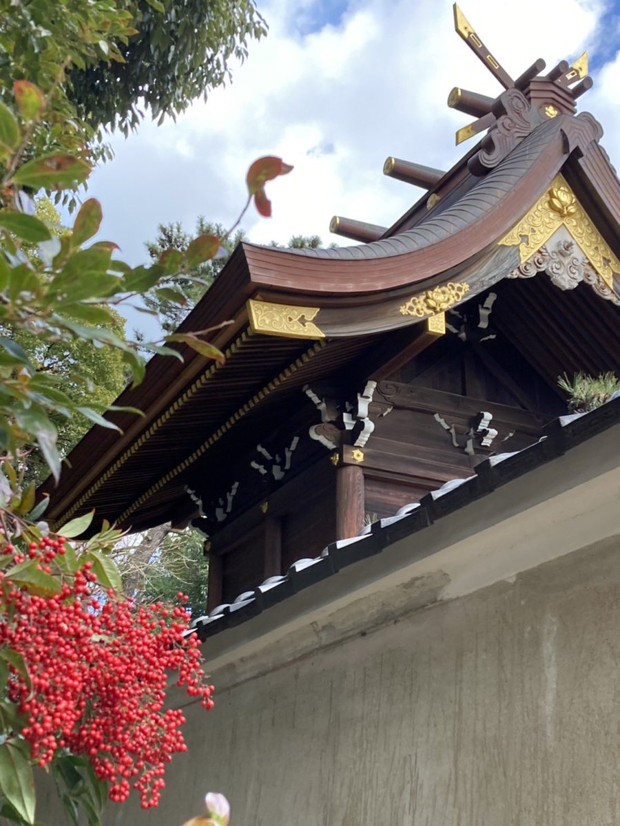 東灘区:弓弦羽神社のナンテン