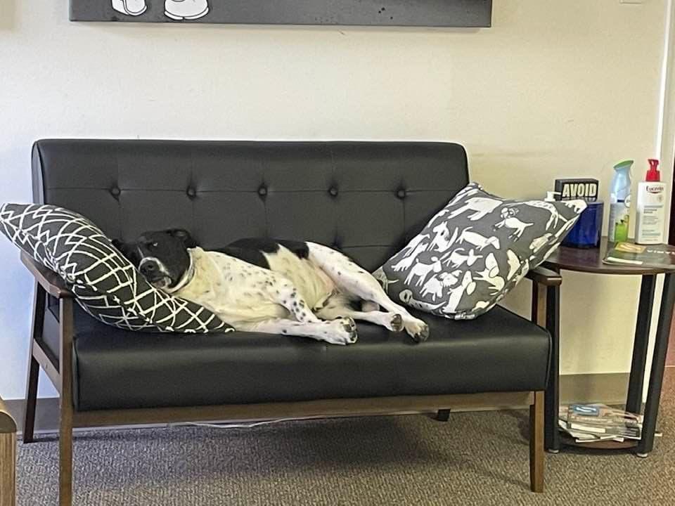 signinstall's tweet photo. https://t.co/jD7WLFiE94