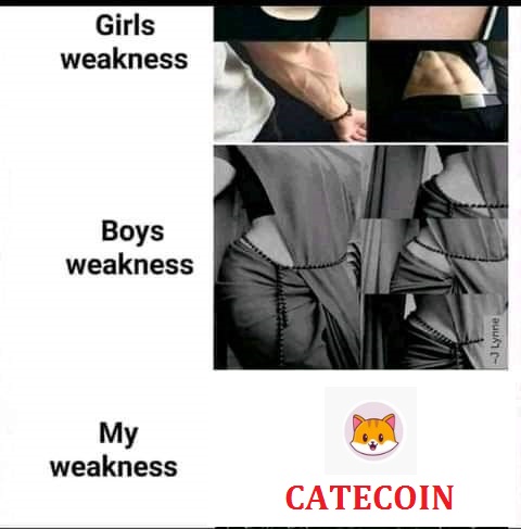 catecoin's tweet photo. #catecoin 🐱
#GameFi #NFTs #memecoin #defi #PlayToEarn #cryptocurrecy https://t.co/H65TkcfPwQ