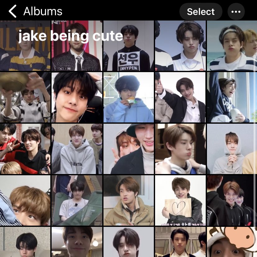 kamalcores's tweet image. jake being cute/tiny

— a short thread ;