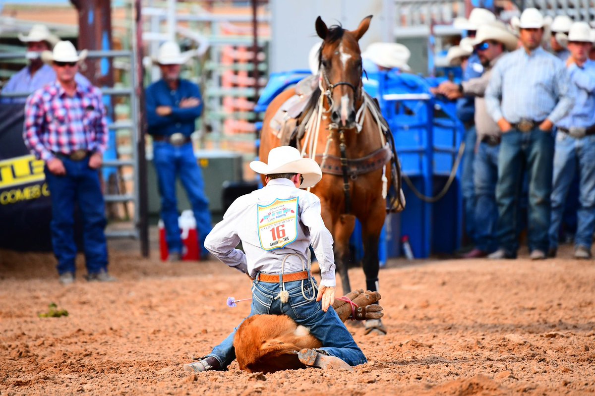 CoyShoemaker's tweet photo. Can the warm weather, late nights, and summer rodeo road just hurry up and get here? https://t.co/mXpTGjVAHS