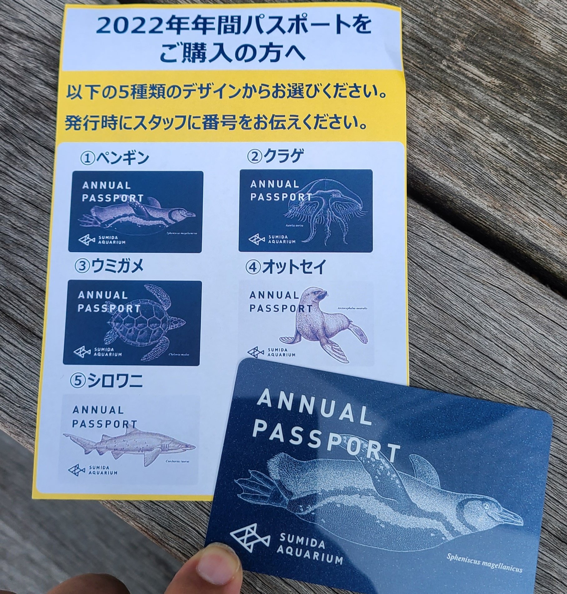 【期間限定！最安値挑戦】 すみだ水族館 年間パスポート2枚 付き合い その他