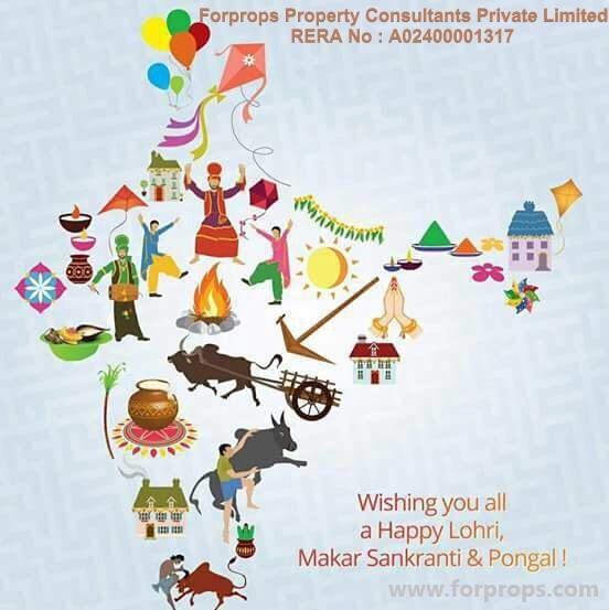 Forprops1's tweet photo. #HappyMakarSankranti
#HappySankranti #Pongal #kitefestival https://t.co/Ad7UTJrOG5