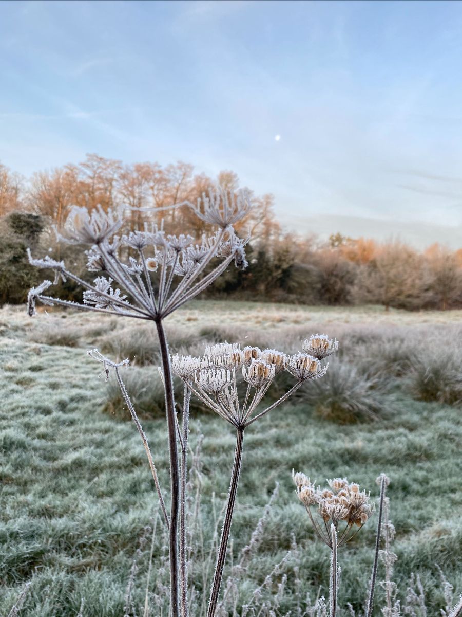 _eequ's tweet image. Come, come, no more delay, no more excuses,
Lose this day loitering—’twill be the same story
To-morrow–and the next ‘ll not be done;
Are you in earnest? seize this very minute
Whatever you can do, or dream you can, begin it.
Boldness has genius, power, and magic in it.