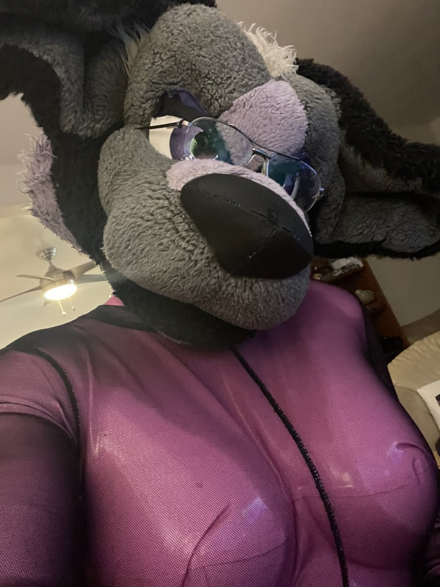 coyotoy's tweet photo. Ive just been sitting at home wearing rubber n stuff. Hows you? https://t.co/LZvy3h3XmF