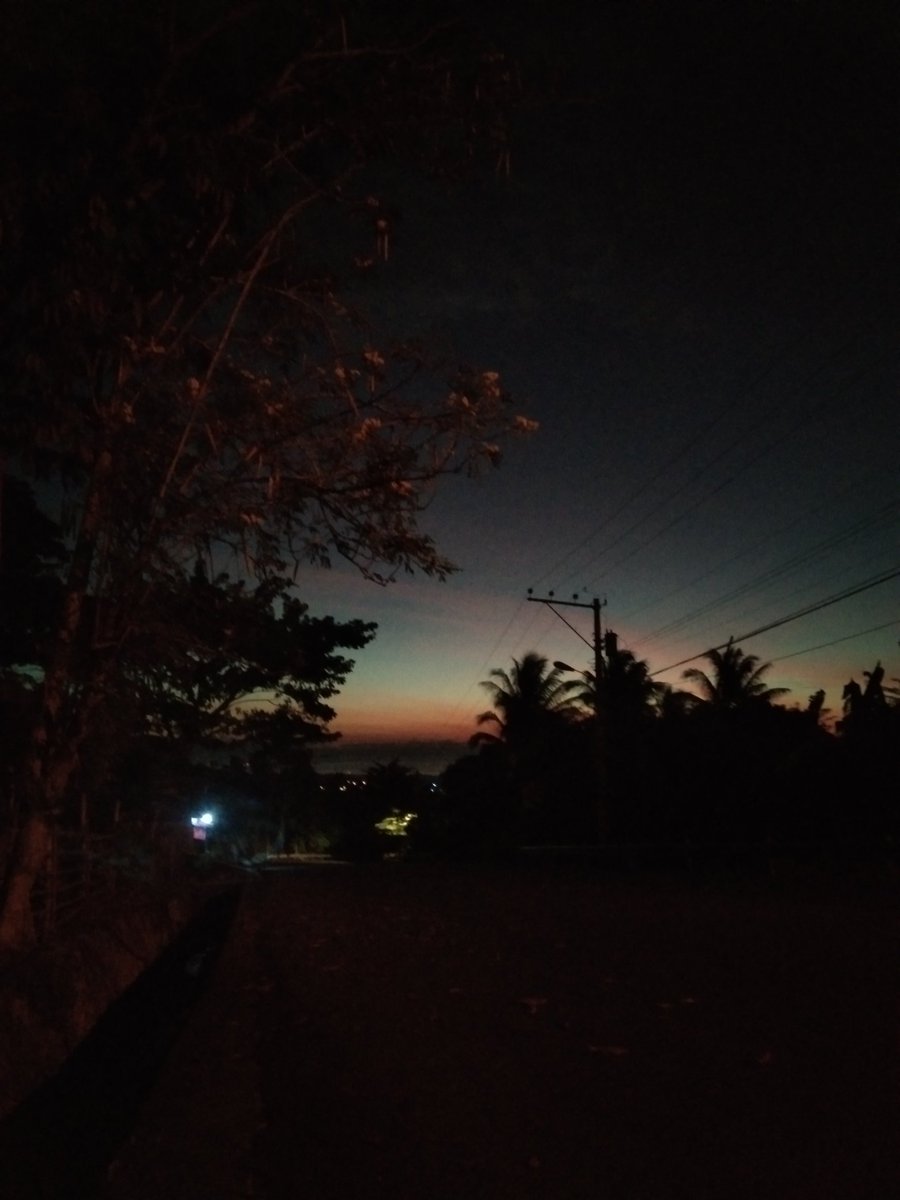 ronoguero's tweet photo. Walk🦋 https://t.co/PFMy5cNsJy