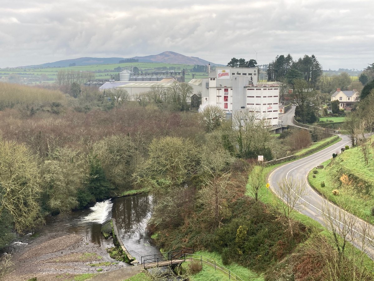 Calling all #porridge fans: the lovely view from the #Kilmacthomas bridge #Flahavans #Waterford #greenway