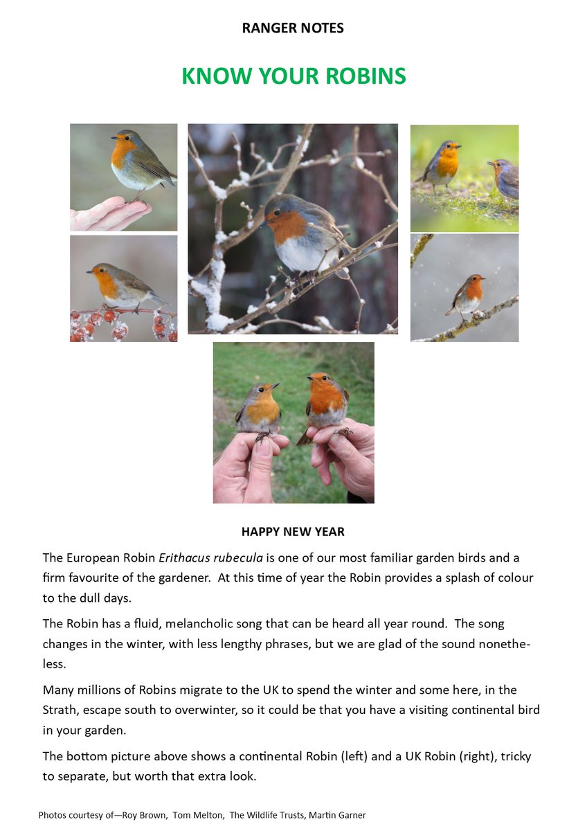 Carrbridge Nature tweet media