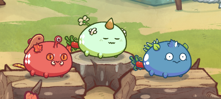 kyltoshi's tweet photo. ❗️#AxieScholarship Giveaway❗️

In the celebration of PH's SOLD OUT NFT Collection(Bored Punks Society), I'll be giving out an Axie Scholarship(DISABLESAUR BUILD)! 🇵🇭

1. Follow @LORDKLOL &amp; @boredpunksoc 
2. Like &amp; RT
3. Tag 2 Friends

Winner in 48 Hours ❤️

#BPOS #AxieInfinity https://t.co/CdFGCV7w2o