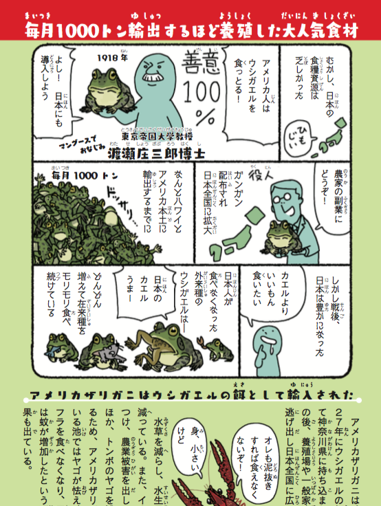 @MasamiT 宣伝になってしまいますが、🦞アメリカザリガニ導入のきっかけとなった🐸ウシガエルについては、拙著『侵略!#外来いきもの図鑑 もてあそばれた者たちの逆襲』(https://t.co/jVIOXifx1o)で漫画とイラストつきで紹介しておりますので、ご一読いただけると幸いです。 