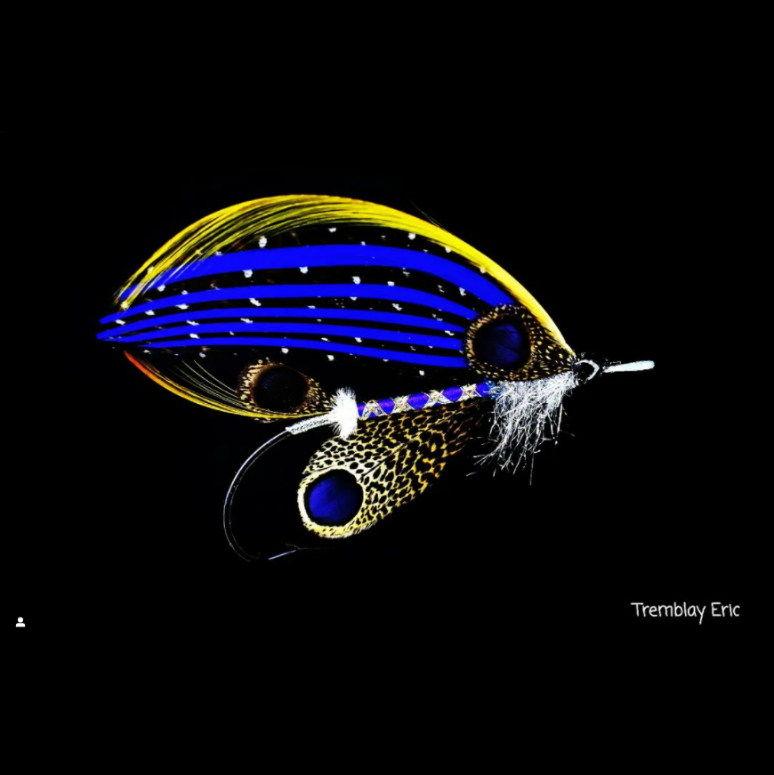 ZZ_Troutski's tweet photo. Art of the Sportโข
That's Beautiful
@blackdose1
My fly for christmas
@cdntubeflyco
#christmastyingcontest
#ambassadeurmoucheexpert#monteursduquรฉbec #Ahrexhooks #flyriver #fishermans #atlanticsalmonfly https://t.co/IeHTDJY76d