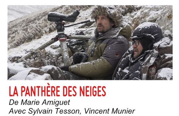 Lundi 17 janvier à 20h30, le documentaire sur l'expédition de Vincent Munier et Sylvain Tesson en Asie centrale est à l'affiche. A l'affût de la panthère des neiges. Rude expérience et magnifique découverte des plateaux du Tibet