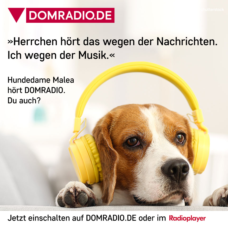 domradio's tweet photo. Ihr werdet unser #radio bestimmt auch mögen. #radioprogramm #musik #top40 #kirche #religion
https://t.co/bszPYBlZi2 https://t.co/WYfnfjA7Tf