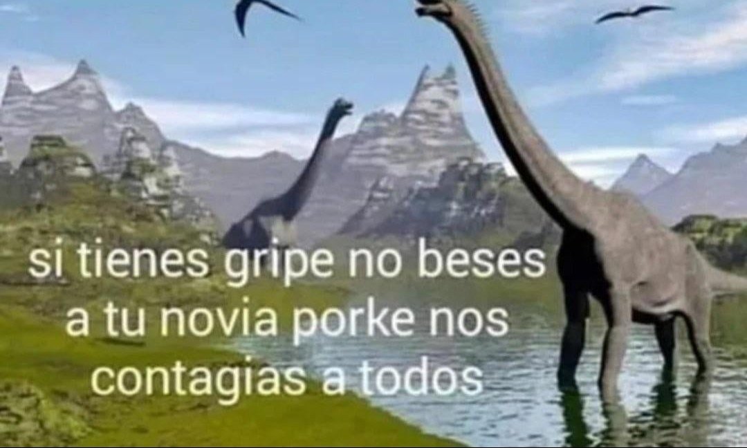 Joaquín Domínguez Out Of Context (@elxoocas) on Twitter photo 