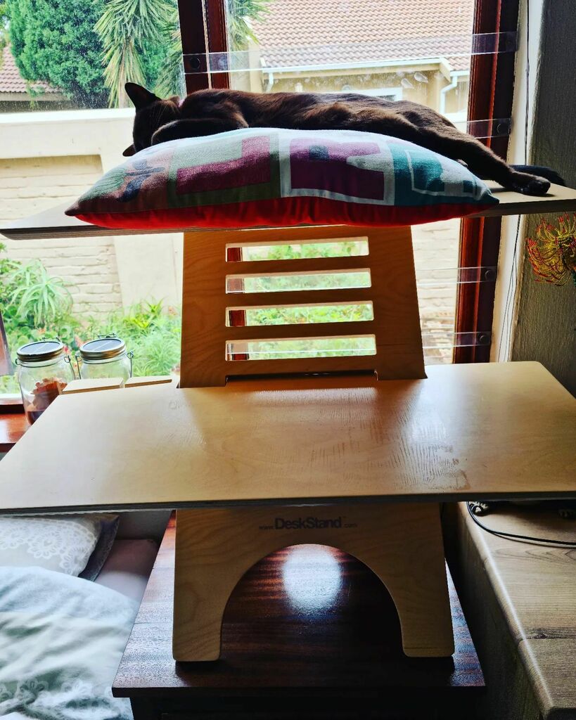 Van_Raath's tweet photo. At least my standing desk comes in handy over the weekends too...
#Burmese #herhappyplace https://t.co/0OKUzvGF1w https://t.co/f3Rx8dKd5J