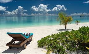 Visit Addu tweet media