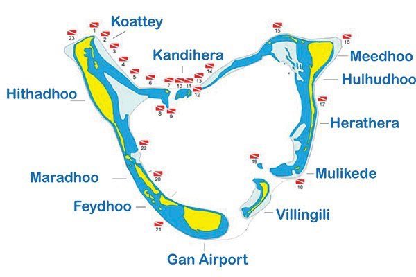 Visit Addu tweet media