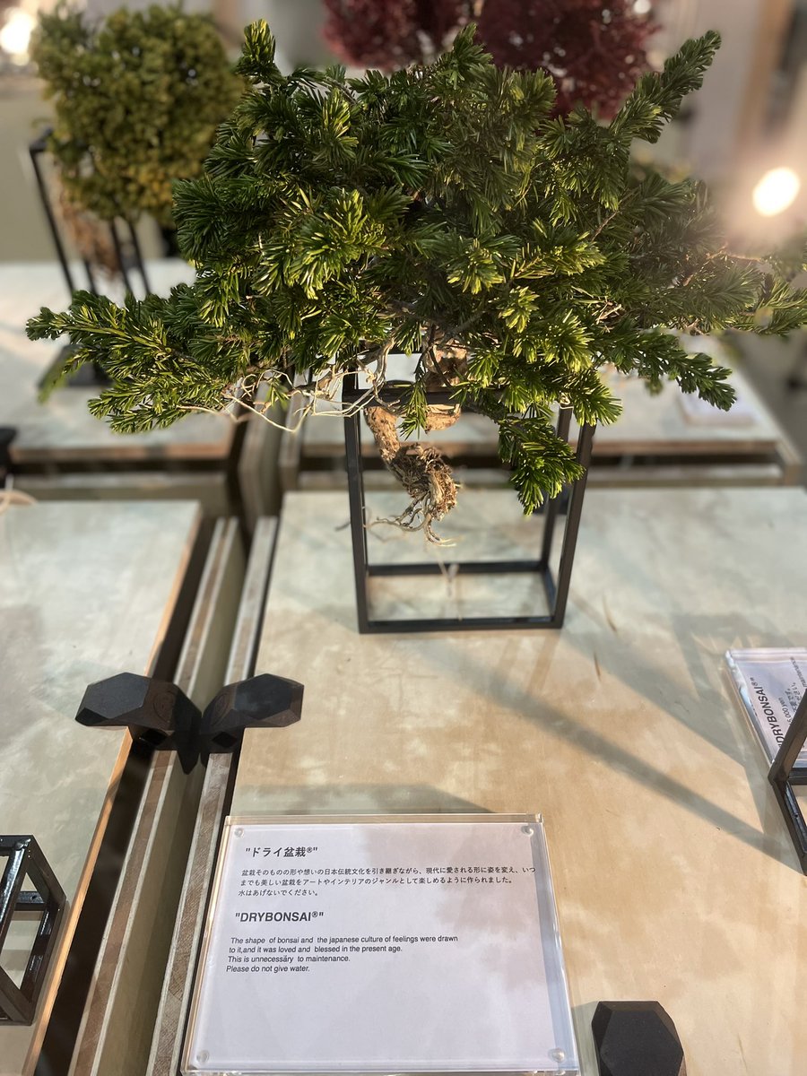 masa112525's tweet photo. 【TOKYO OUTDOOR SHOW】

アウトドアとか経験少ないからよくわかんないけど、やっぱり自然の中で活動するのは楽しそうでした 。

大学のOBのブースもあってお話もできたので良い経験になった！

#東京チェンソーズ 
#ふもとっぱらキャンプ場 https://t.co/kMOrMIixNS