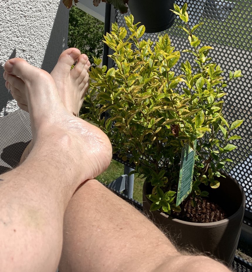 Alexfeet25's tweet photo. #gayfeet #manfoot https://t.co/D6CUkCbSBu