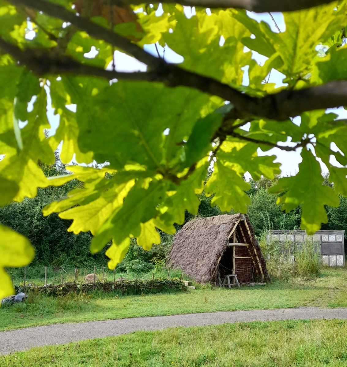 JarrowHall's tweet photo. This time last year this #Grubenhause was but a twinkle in our eye. AKA #SunkenFeatureBuilding or #PitHouse and common in the Early Medieval period however they didn't remain in the vernacular so little is know about their use so: a great subject Experimental (Re)construction! https://t.co/ENsto7zFyu