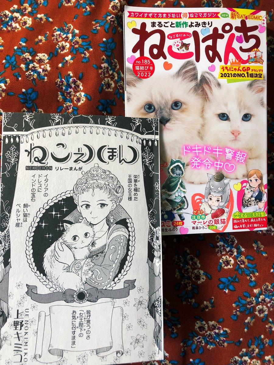 お仕事告知
1/11発売 
ねこぱんち 猫結び号 (少年画報社) に読み切り5ページ描かせて頂きました
https://t.co/EqWhg43XR7
自由に描かせてもらえて楽しかったです! 