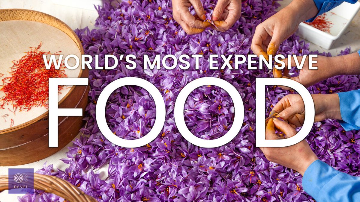 RevelDaily's tweet image. We have a video on the world’s most expensive foods! There are some very interesting foods you might never have imagined. You can find our channel in our bio. #Revel