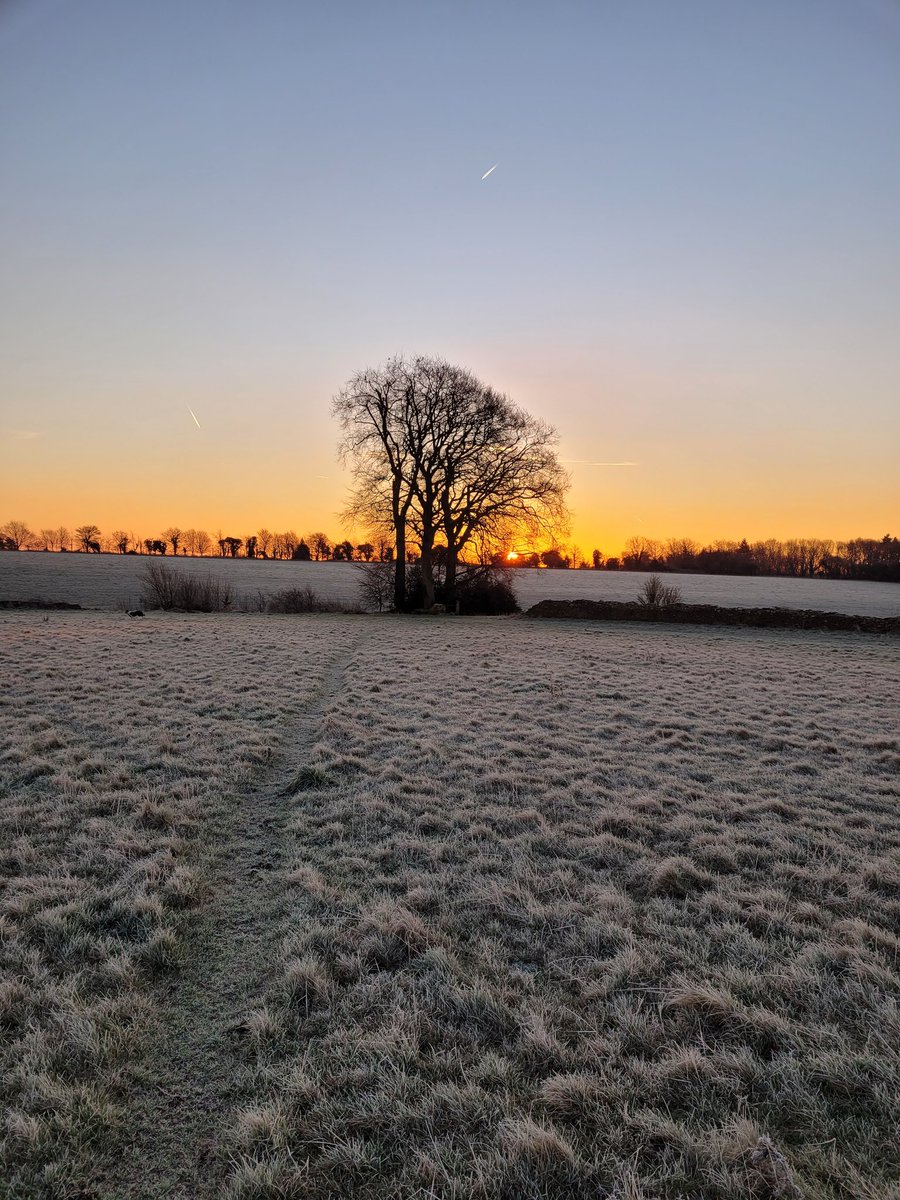 lanhilllamb's tweet image. Been a beautiful week here in the Cotswolds #lucky #notabadoffice #crispandcold