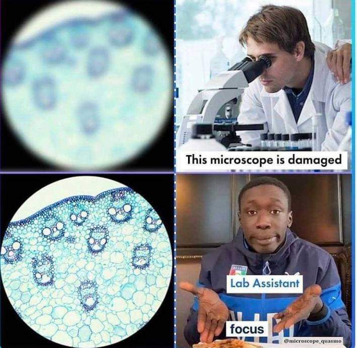 Department of Microbiology@Unimaid (@deptmicro) on Twitter photo 