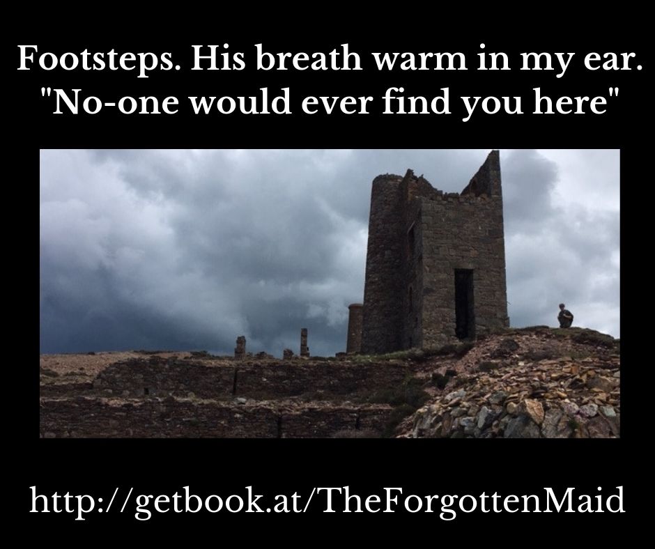 Delighted by #SagaSaturday stalwart <a href="/SusannaBavin/">Susanna Bavin</a>'s review of The Forgotten Maid:
"every time you think you're on top of the mystery, it turns out you aren't." susannabavin.co.uk/blog.html?post…
#BookRecommendation #RespectRomFic #Poldark