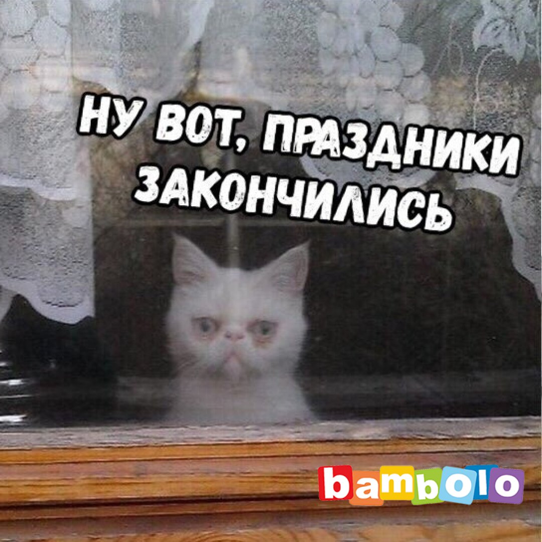 На работу после праздников приколы
