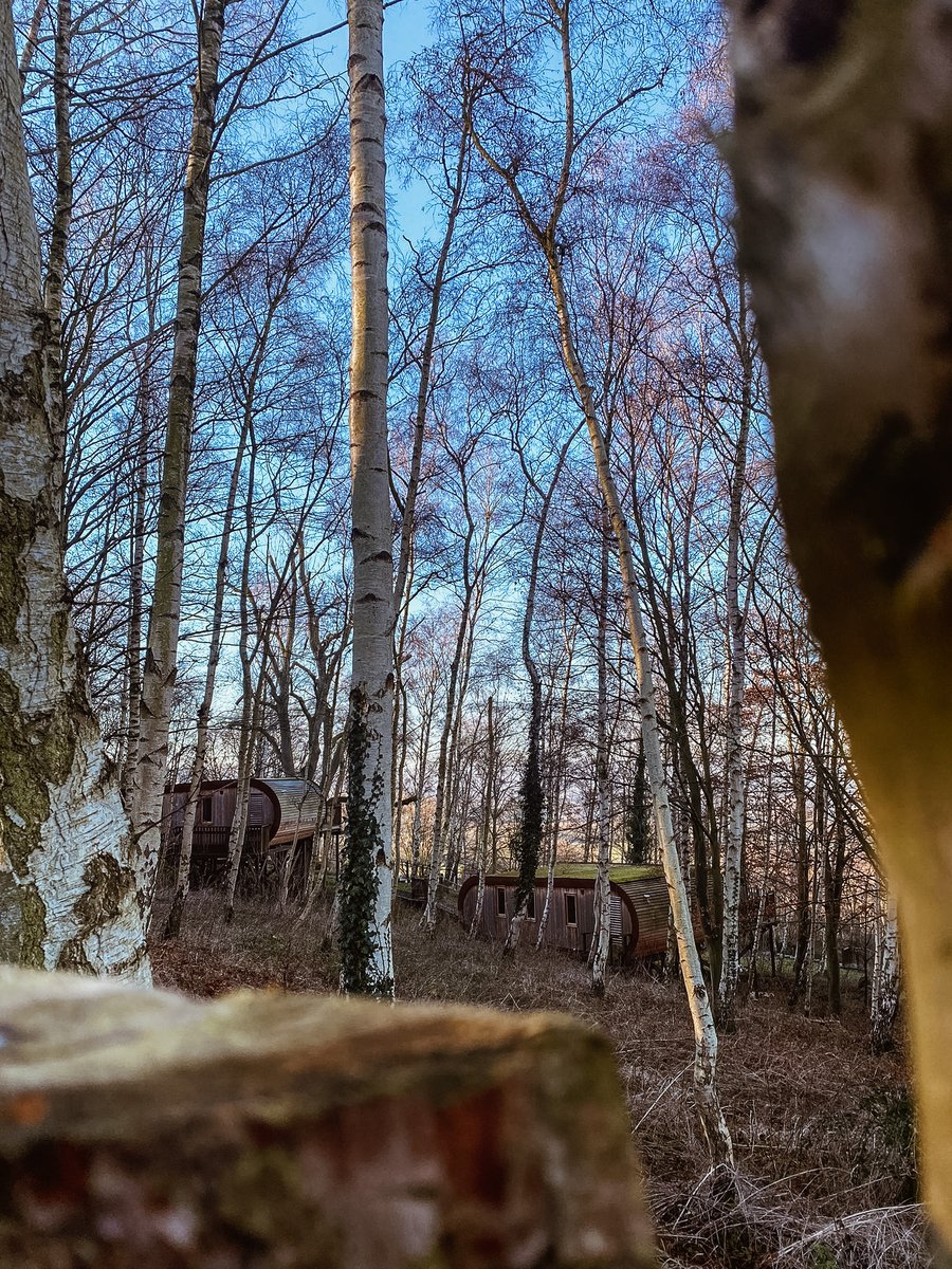 Into the thick of it 🌳✨ . Blowing away the cobwebs with some weekend wilderness. And we don’t know about you, but we will never get tired of this view… . #intothethickofit #takeahike #weekendwanderlust #saturdaycomeatus