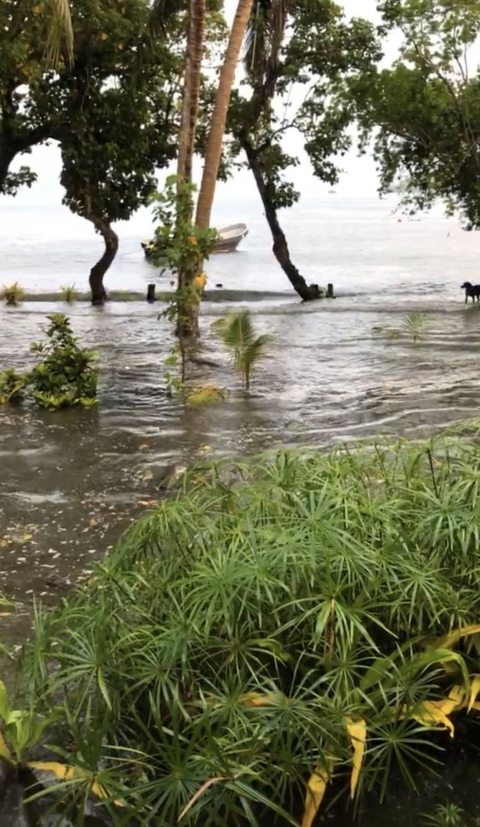 CycloneAnalyser's tweet photo. #Tsunami reach #Vanualevu in #Fiji as seen in the pic &amp; occurred in #Savai Island in #Samoa too from today's morning #HungaTongaHungaHaapai Eruption, #tsunamiwarning now effective for #NewZealand where wave could be larger due to influence of Extratropical #CycloneCody 🌊⚠️ https://t.co/W0KpxvGw5R