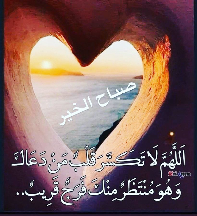 أمل الحمود الصباح (@alshamka77) on Twitter photo 