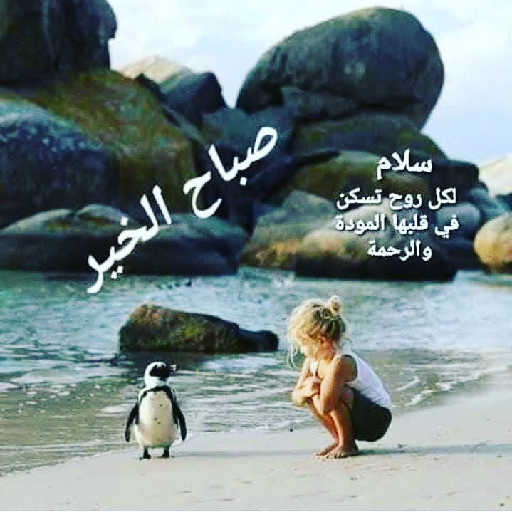 أمل الحمود الصباح (@alshamka77) on Twitter photo 