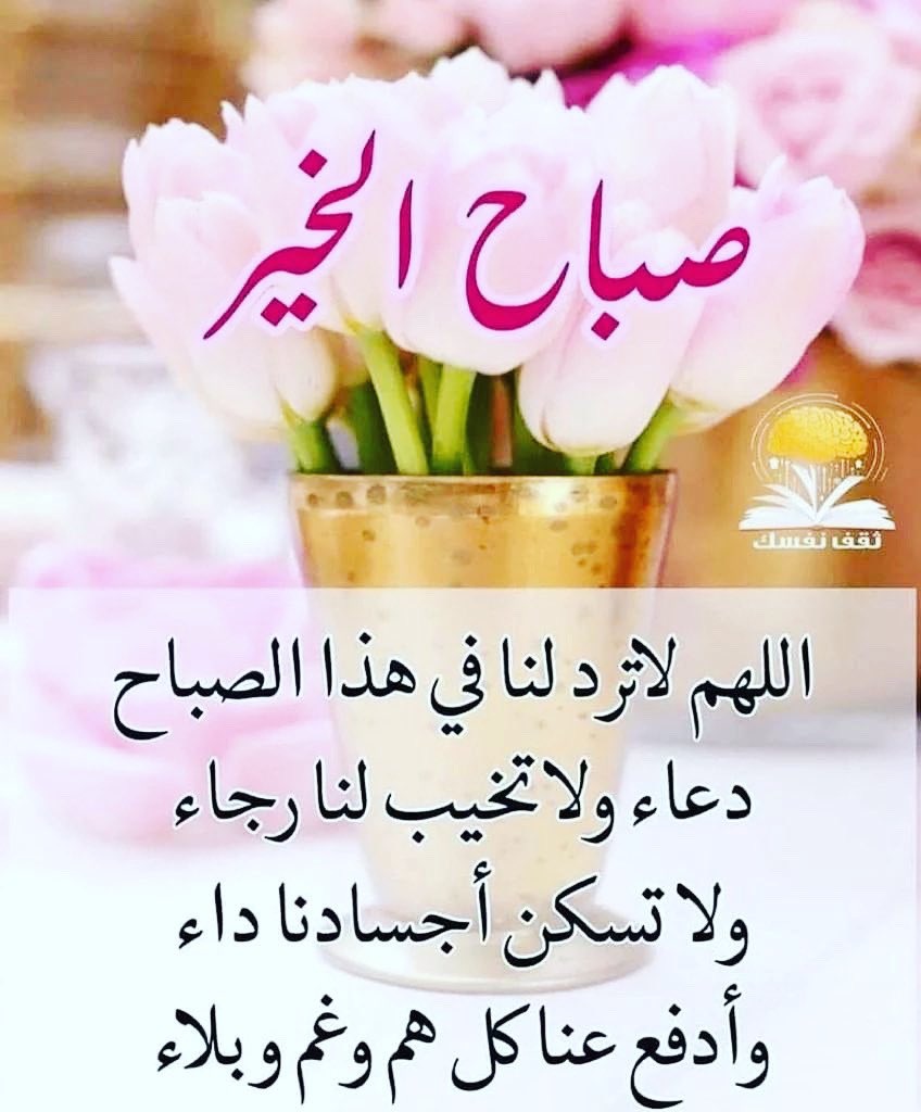 أمل الحمود الصباح (@alshamka77) on Twitter photo 