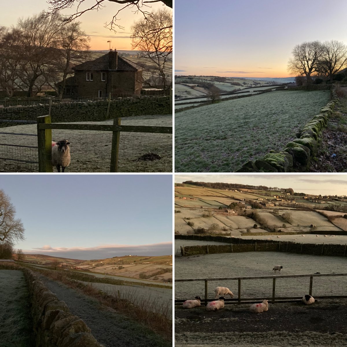 Early morning pre-walk walk 🌿🥾💚 #loveyorkshire #yorkshiremoors #daybreak #walkshire