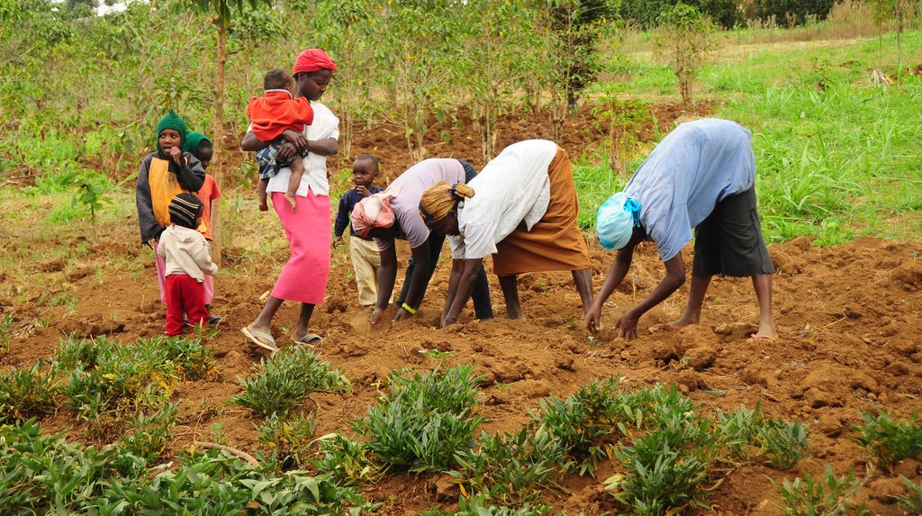 Act4WomenZW (@act4zw) on Twitter photo Women make over 50% of all smallholder farmers producing 60-80% of Africa's food yet making over 70% of Africa's poor (WEF, UNDP).
#LandForWomen
<a href="/faosfsafrica/">FAO Subregional Office for Southern Africa</a> <a href="/hivosrosa/">Hivos Southern Africa</a> <a href="/mercycorps_uk/">Mercy Corps - Europe</a> <a href="/nangozimbabwe/">NANGO Zimbabwe</a> <a href="/WCOZIMBABWE/">Women's Coalition of Zimbabwe</a> <a href="/PactWorld/">Pact</a> <a href="/wef/">World Economic Forum</a> <a href="/WFP/">World Food Programme</a> <a href="/perla_kapuya/">PerlaTafadzwa</a> <a href="/GumaLeander/">Nathan Leander Guma</a> <a href="/syd_chisi/">SydChisi</a> Women make over 50% of all smallholder farmers producing 60-80% of Africa's food yet making over 70% of Africa's poor (WEF, UNDP).
#LandForWomen
<a href="/faosfsafrica/">FAO Subregional Office for Southern Africa</a> <a href="/hivosrosa/">Hivos Southern Africa</a> <a href="/mercycorps_uk/">Mercy Corps - Europe</a> <a href="/nangozimbabwe/">NANGO Zimbabwe</a> <a href="/WCOZIMBABWE/">Women's Coalition of Zimbabwe</a> <a href="/PactWorld/">Pact</a> <a href="/wef/">World Economic Forum</a> <a href="/WFP/">World Food Programme</a> <a href="/perla_kapuya/">PerlaTafadzwa</a> <a href="/GumaLeander/">Nathan Leander Guma</a> <a href="/syd_chisi/">SydChisi</a>