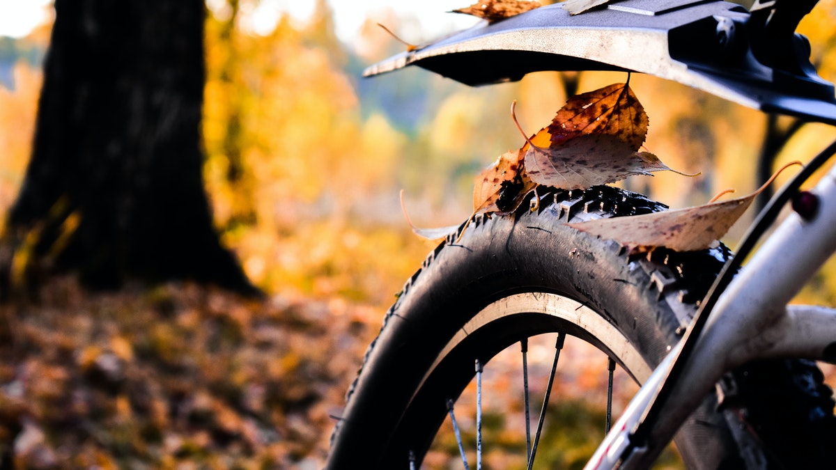 Who got a new bike for Christmas?
Our contents insurance covers up to £3,000 of items in garages and outbuildings, however our Pedal Cycle cover will insure your bike anywhere in the UK.
#newbike #bikeforChrsitmas #pedalcyclecover #homeinsurance #contentsinsurance