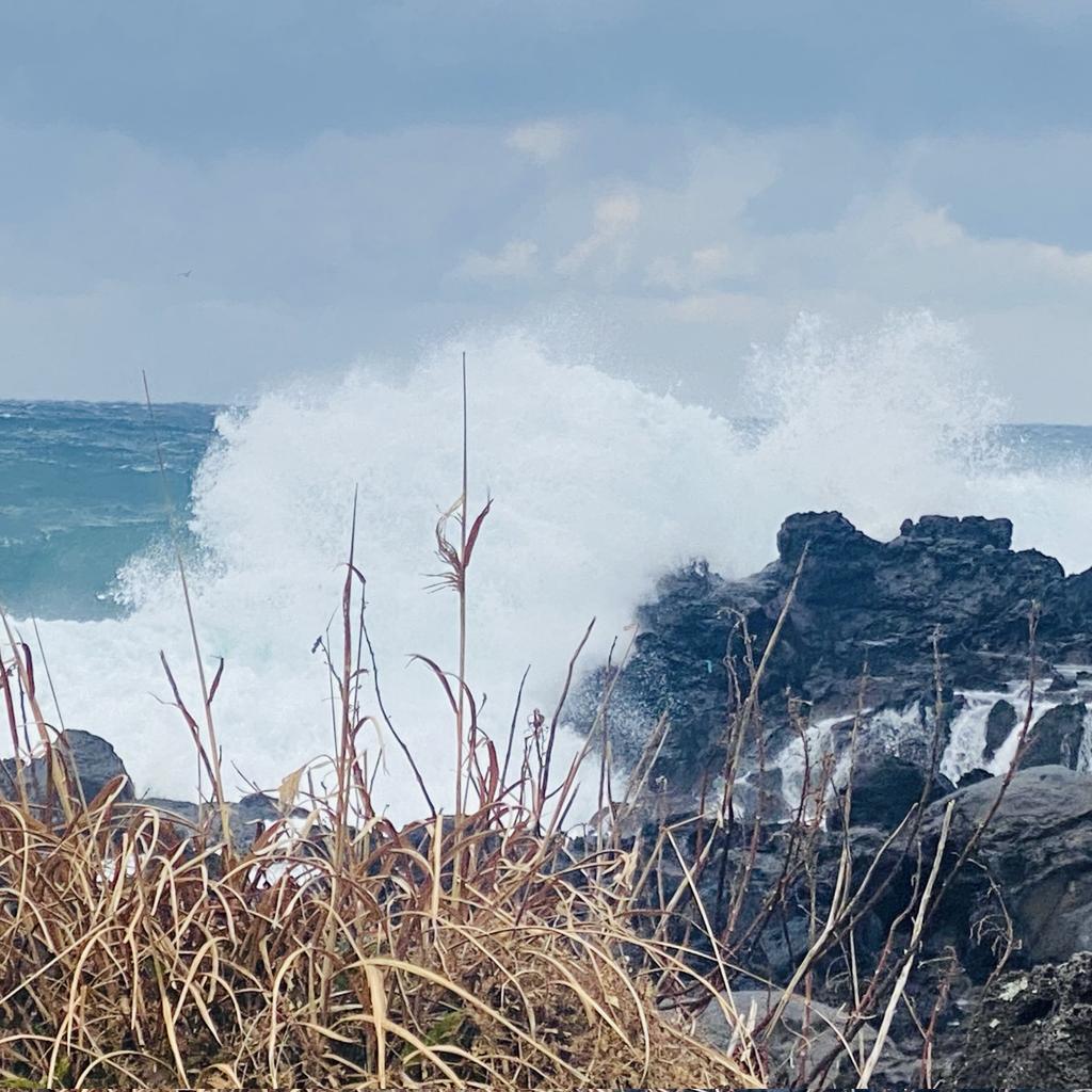 NftSiwoo's tweet photo. Life is like a wave... https://t.co/Rb7pTVVjnI